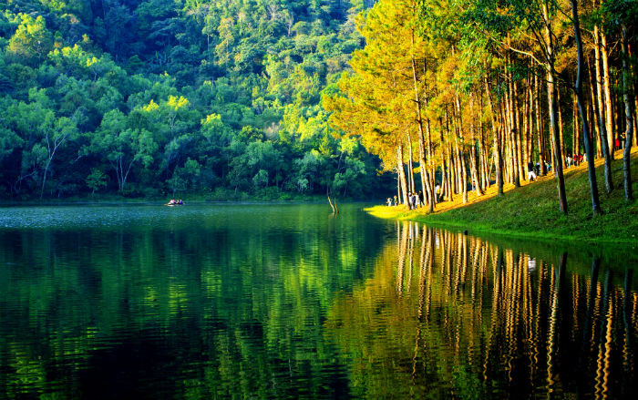 日照市在职学历提升机构